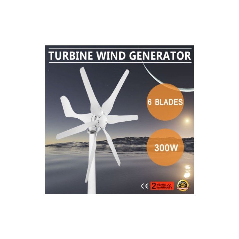 300W vėjo generatorius